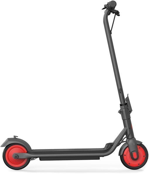 Электросамокат Segway-Ninebot C20, Black e_sc_AA.00.0011.54 фото